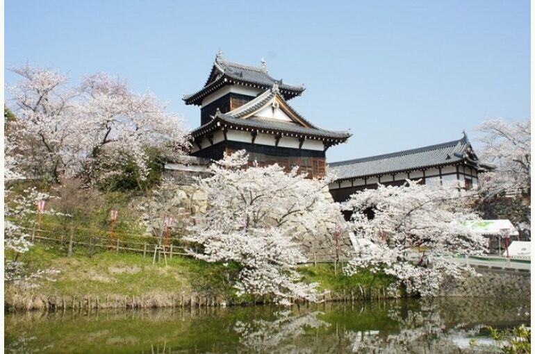 大和郡山市名所郡山城の画像